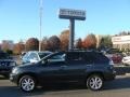Smokey Granite - RX 350 AWD Photo No. 3
