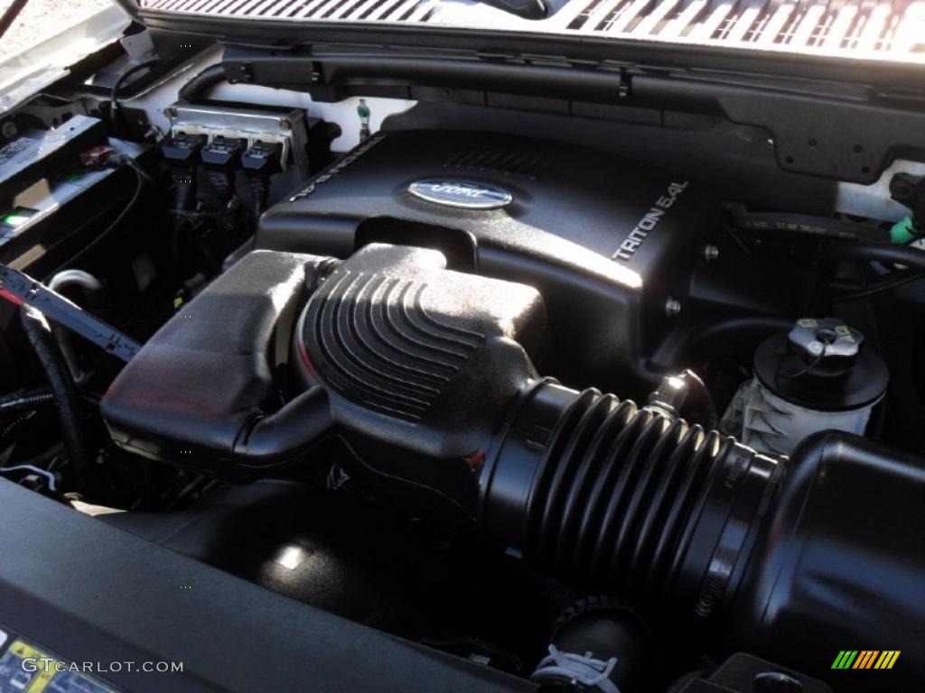2003 Ford Expedition Eddie Bauer 4x4 5.4 Liter SOHC 16-Valve Triton V8 Engine Photo #39670267