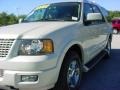 2005 Cashmere Tri Coat Metallic Ford Expedition Limited  photo #14