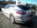 Platinum Silver Metallic - Panamera Turbo Photo No. 7