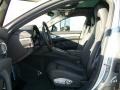 Platinum Silver Metallic - Panamera Turbo Photo No. 13