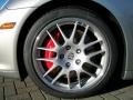 Platinum Silver Metallic - Panamera Turbo Photo No. 32