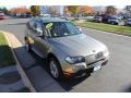 Platinum Bronze Metallic - X3 3.0si Photo No. 8