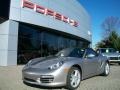 Platinum Silver Metallic - Boxster  Photo No. 1