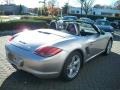 Platinum Silver Metallic - Boxster  Photo No. 5