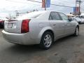Light Platinum - CTS Sedan Photo No. 4