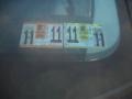 Light Sandstone Metallic - Grand Caravan SXT Photo No. 15