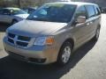 Light Sandstone Metallic - Grand Caravan SXT Photo No. 18
