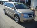 Light Sandstone Metallic - Grand Caravan SXT Photo No. 20