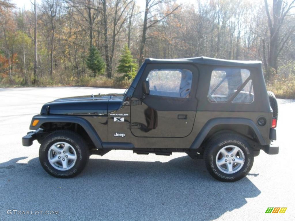 2002 Wrangler X 4x4 - Black / Agate Black photo #6
