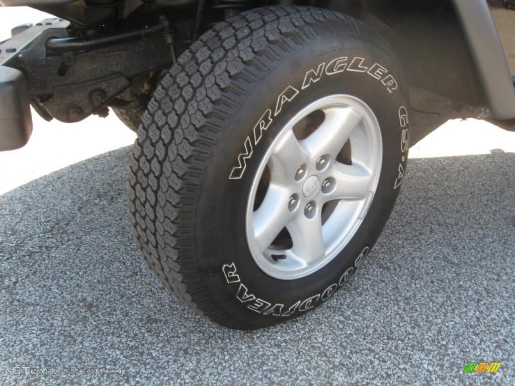 2002 Wrangler X 4x4 - Black / Agate Black photo #11