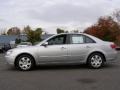 Radiant Silver - Sonata GLS Photo No. 4