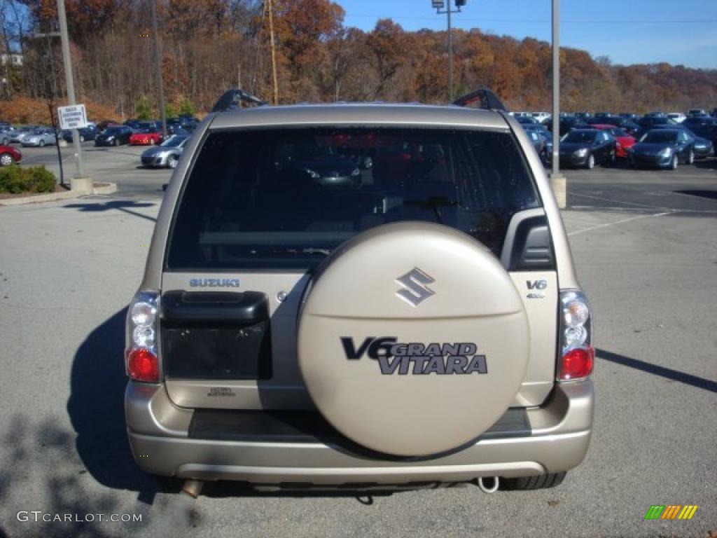 2005 Grand Vitara LX 4WD - Cool Beige Metallic / Beige photo #3