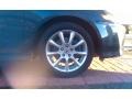 Carbon Gray Pearl - TSX Sedan Photo No. 11