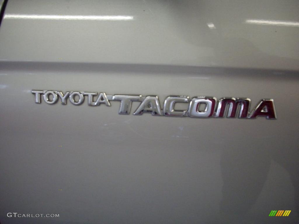2002 Tacoma V6 Double Cab 4x4 - Lunar Mist Metallic / Charcoal photo #6