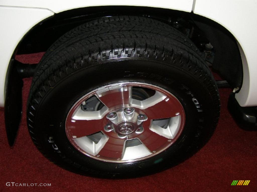 2008 4Runner SR5 4x4 - Natural White / Stone Gray photo #10