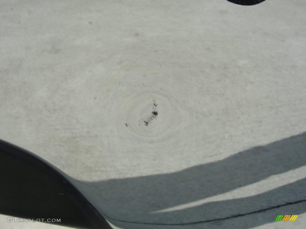 2002 Silverado 1500 Work Truck Regular Cab - Light Pewter Metallic / Graphite Gray photo #24