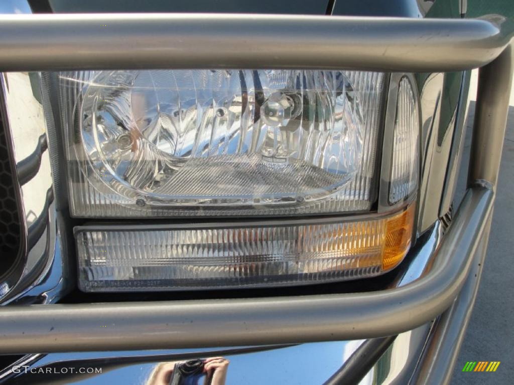 2004 F250 Super Duty King Ranch Crew Cab 4x4 - Estate Green Metallic / Castano Leather photo #10