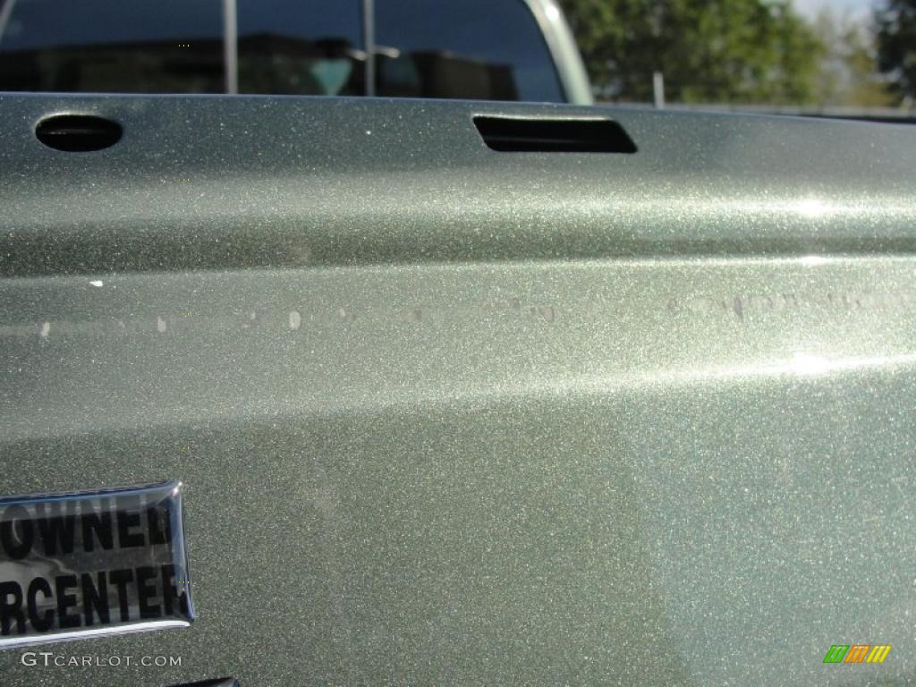 2004 F250 Super Duty King Ranch Crew Cab 4x4 - Estate Green Metallic / Castano Leather photo #23