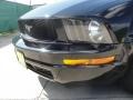 Black - Mustang V6 Deluxe Convertible Photo No. 15