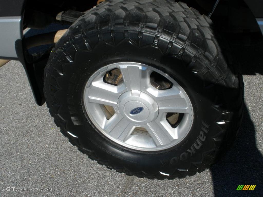 2005 F150 XLT SuperCrew - Dark Shadow Grey Metallic / Medium Flint Grey photo #10