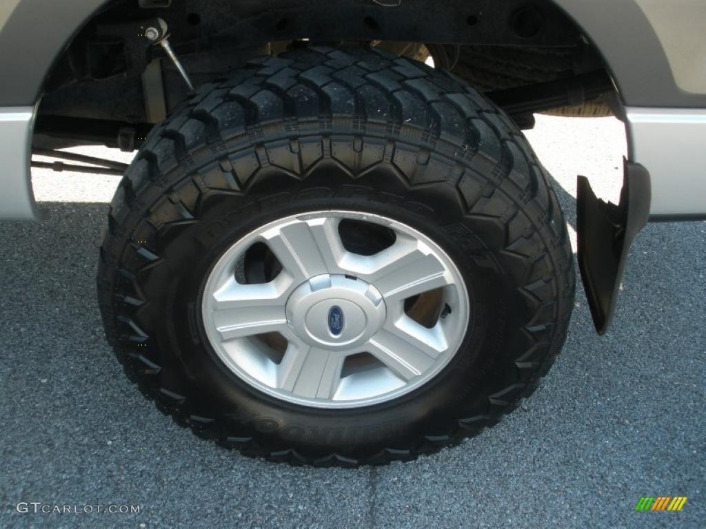 2005 F150 XLT SuperCrew - Dark Shadow Grey Metallic / Medium Flint Grey photo #11