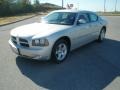 Bright Silver Metallic - Charger SXT Photo No. 7