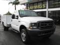 Oxford White - F550 Super Duty XL Regular Cab Chassis Utility Photo No. 2