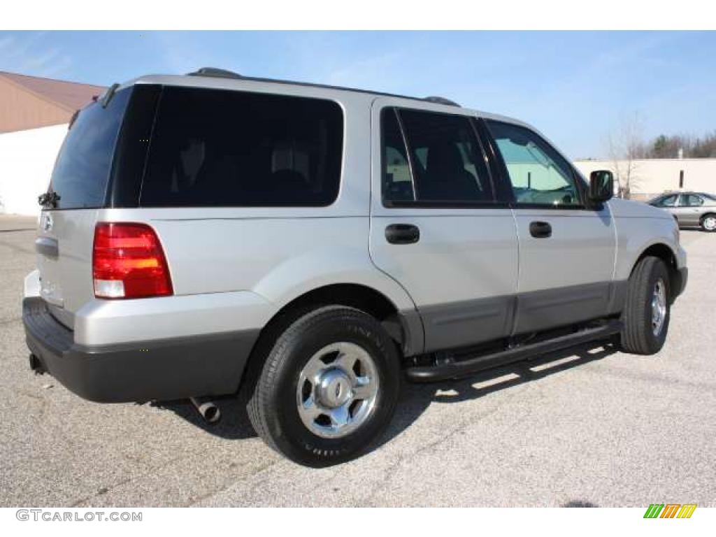Silver Birch Metallic 2004 Ford Expedition XLT 4x4 Exterior Photo #39744910