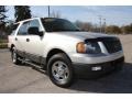 2004 Silver Birch Metallic Ford Expedition XLT 4x4  photo #25