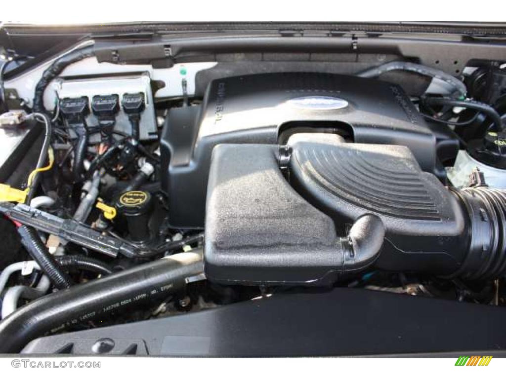 2004 Ford Expedition XLT 4x4 5.4 Liter SOHC 16-Valve Triton V8 Engine Photo #39745334