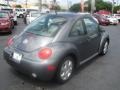 Platinum Grey Metallic - New Beetle GLS Coupe Photo No. 9