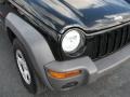 Black Clearcoat - Liberty Sport Photo No. 2