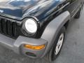 2003 Black Clearcoat Jeep Liberty Sport  photo #4