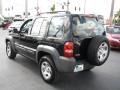 2003 Black Clearcoat Jeep Liberty Sport  photo #7