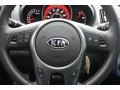  2010 Forte Koup SX Logo