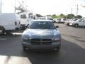 Silver Steel Metallic - Charger  Photo No. 3