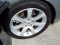 Precision Gray Metallic - Maxima 3.5 SE Photo No. 4