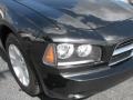 Brilliant Black Crystal Pearl - Charger  Photo No. 2