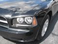 Brilliant Black Crystal Pearl - Charger  Photo No. 4