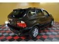Jet Black - X5 3.0i Photo No. 4