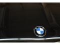 Jet Black - X5 3.0i Photo No. 21