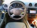Arctic White - GL 450 4Matic Photo No. 20