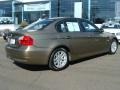 2006 Sonora Metallic BMW 3 Series 325i Sedan  photo #8