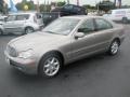 Pewter Silver Metallic - C 240 Sedan Photo No. 5