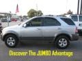 2004 Diamond Silver Metallic Kia Sorento EX  photo #6