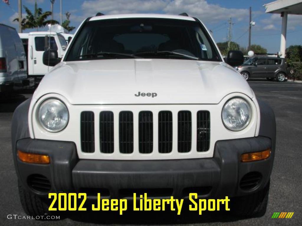 2002 Liberty Sport - Stone White / Dark Slate Gray photo #2