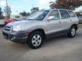 Smart Silver - Santa Fe GLS Photo No. 2
