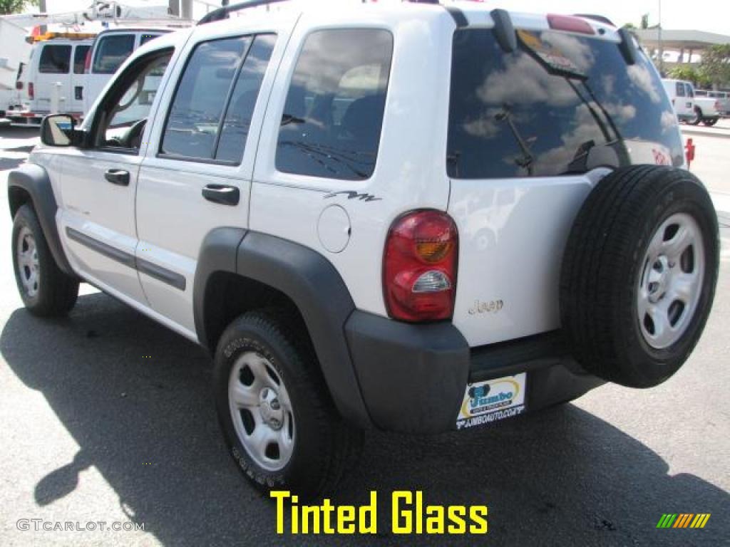 2002 Liberty Sport - Stone White / Dark Slate Gray photo #7