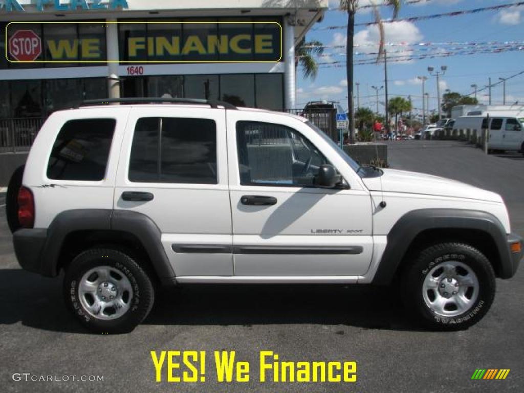 2002 Liberty Sport - Stone White / Dark Slate Gray photo #11